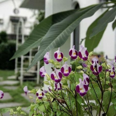 Hasayaki Homestay Sanxing Εξωτερικό φωτογραφία