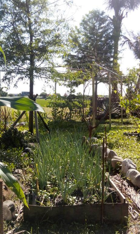 Hasayaki Homestay Sanxing Εξωτερικό φωτογραφία