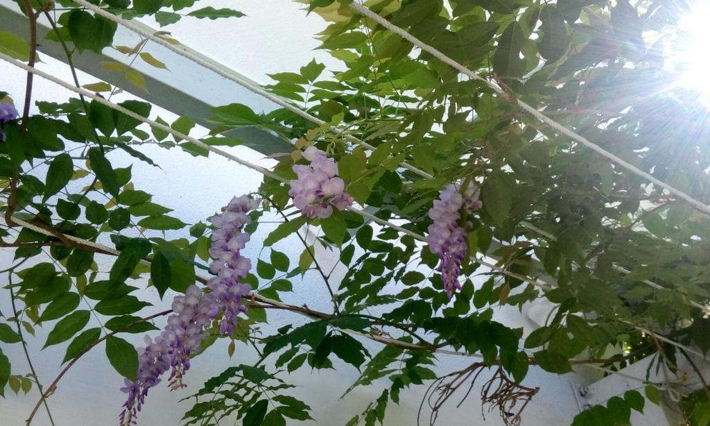 Hasayaki Homestay Sanxing Εξωτερικό φωτογραφία