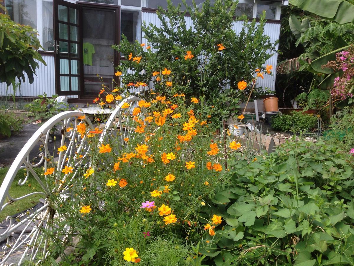 Hasayaki Homestay Sanxing Εξωτερικό φωτογραφία