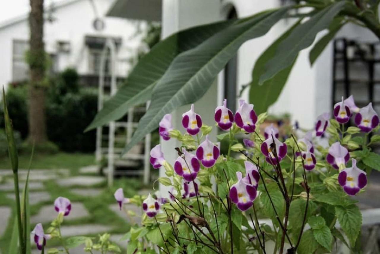 Hasayaki Homestay Sanxing Εξωτερικό φωτογραφία