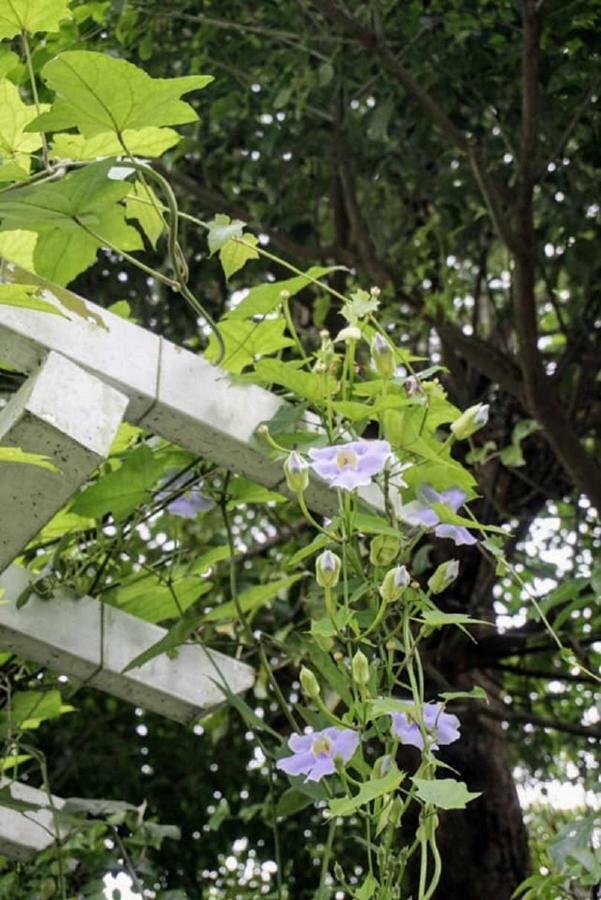 Hasayaki Homestay Sanxing Εξωτερικό φωτογραφία